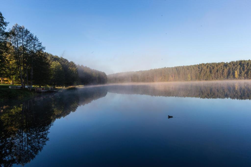 Zuvedra Hotel Ignalina Buitenkant foto